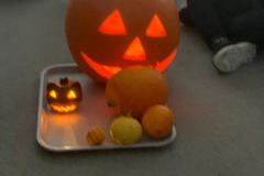 IMG-20251101-WA0003