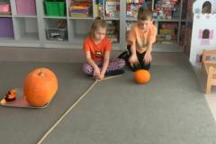 IMG-20251101-WA0014