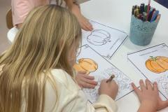 IMG-20251101-WA0016