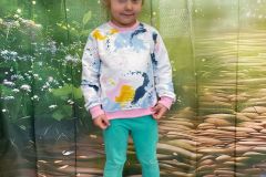 IMG-20251105-WA0074