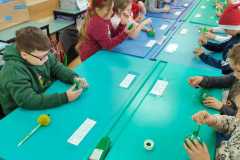 IMG-20251204-WA0017
