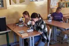 WhatsApp-Image-2023-10-01-at-19.26.09-1