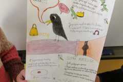 IMG-20251120-WA0000