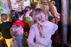 IMG-20251207-WA0168