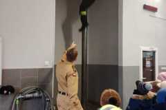 IMG-20251207-WA0210