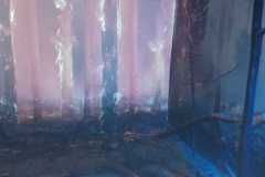 IMG-20251207-WA0252