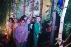 IMG-20251207-WA0254
