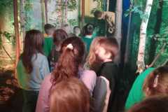 IMG-20251207-WA0257