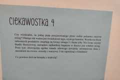 WhatsApp-Image-2025-03-21-at-20.42.16-1
