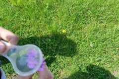 WhatsApp-Image-2024-06-20-at-11.04.04-1