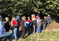 W leśnym świecie- projekt klasy IIIa