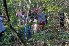 IMG-20251017-WA0022