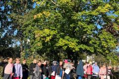 IMG-20251017-WA0023