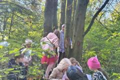 IMG-20251017-WA0033