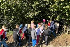 IMG-20251017-WA0035