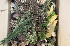 IMG-20251017-WA0110