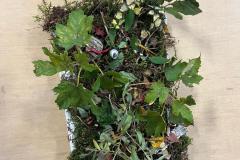 IMG-20251017-WA0115