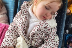 55160761-126b-4a28-992d-ad149a1c2521-1