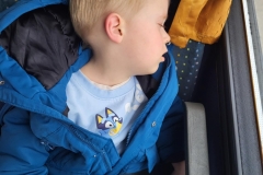 67d450bb-4ea8-4dca-ac09-6785d456e553