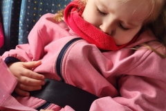 80fbdb9e-6e08-4536-8c18-06763f3510cd