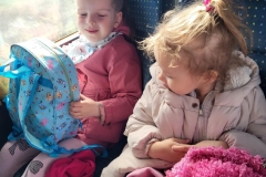 f74dd417-9d5f-46bc-8cc8-11580c559564