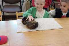 IMG-20250525-WA0021