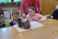 IMG-20250525-WA0022