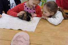 IMG-20250525-WA0023