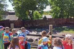 IMG-20250525-WA0025