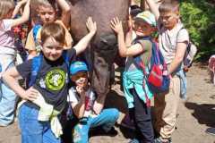 IMG-20250525-WA0027