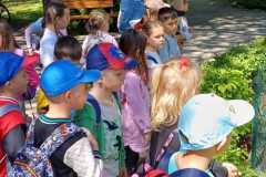 IMG-20250525-WA0033