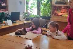 WhatsApp-Image-202505-25-at-23.09.53-6