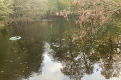 IMG-20251030-WA0092