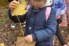 IMG-20251030-WA0094