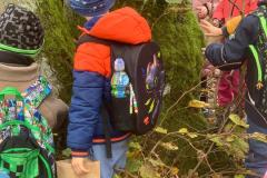 IMG-20251030-WA0095