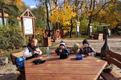 IMG-20251030-WA0131