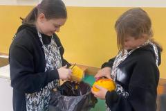 IMG-20251130-WA0045