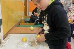 IMG-20251130-WA0046
