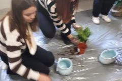 zielonykacik11