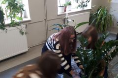 zielonykacik12