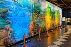 IMG-20251204-WA0151