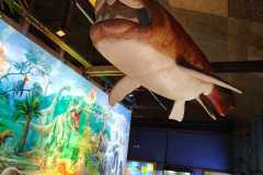 IMG-20251204-WA0154