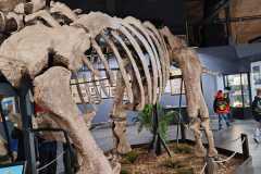 IMG-20251204-WA0155