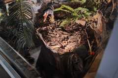 IMG-20251204-WA0156