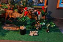 IMG-20251204-WA0157