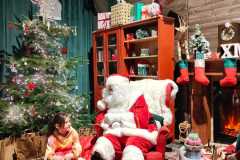 IMG-20251204-WA0217