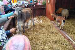 IMG-20251204-WA0247